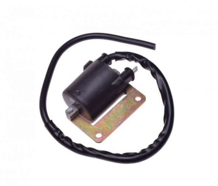 Bobina inductie Piaggio 826115 [2]