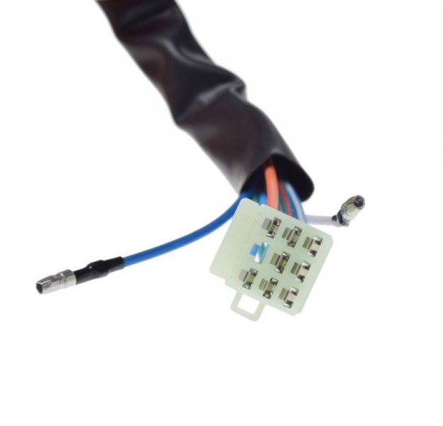 Comanda electrica KINGWAY CHOPPER 150/250 [3]