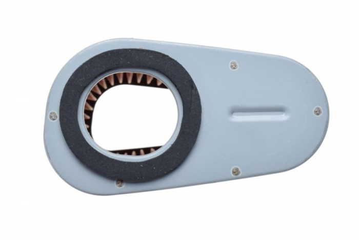 Filtru aer Honda CBF600/CB600, 17210-MFG-D00 [3]