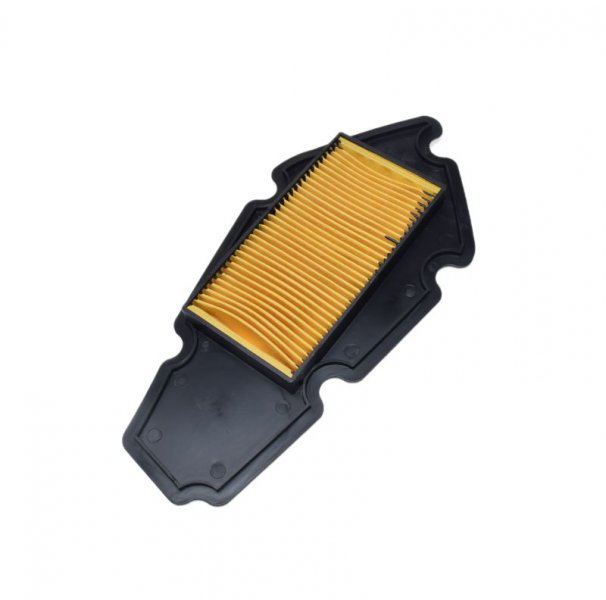 Filtru aer Pgo G-Max 125/200 [2]