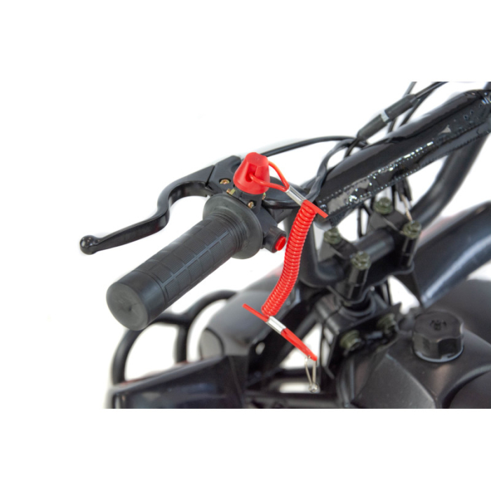 Mini atv XTR M4/4, roti 4 inch, 50cc, 2 timpi, pornire la sfoara , culoare negru/albastru [8]