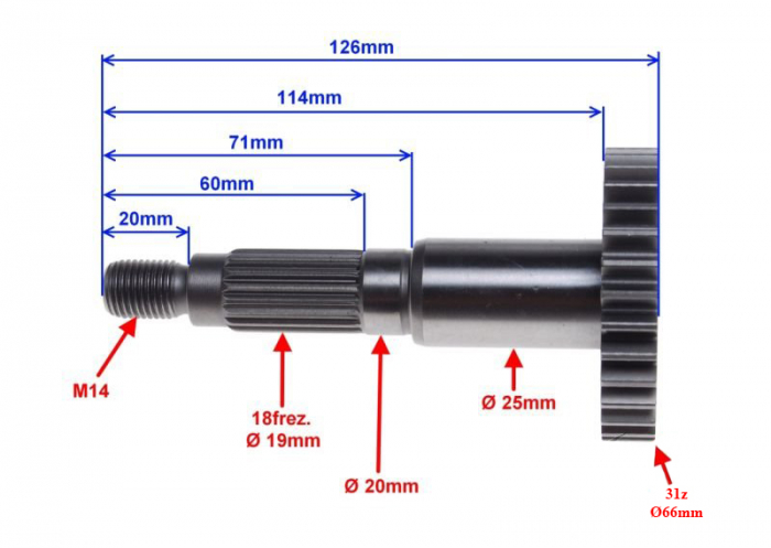 Pinion roata scutere 2t, 31z [2]