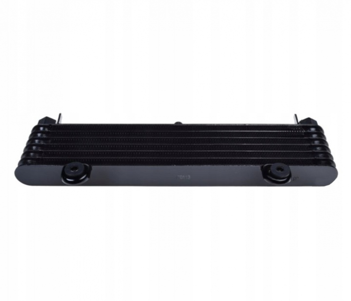 Radiator racire Yamaha Xj900S 95-03 [2]