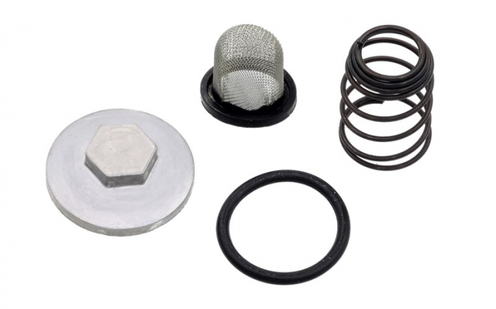 Set filtru, arc, oring, buson golire scuter Gy6-50-60-80cc, 4T [2]