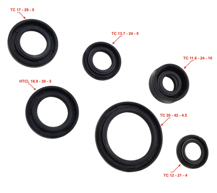 Set semeringuri motor ATV 110 [2]