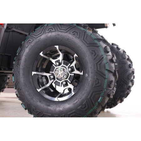 ATV Asix Tytan 200cc, roti 10 inch aluminiu, 1+1 viteze, culoare rosu/galben [16]