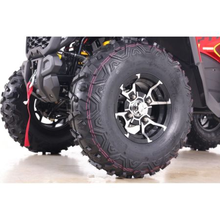 ATV Asix Tytan 200cc, roti 10 inch aluminiu, 1+1 viteze, culoare gri/negru [16]