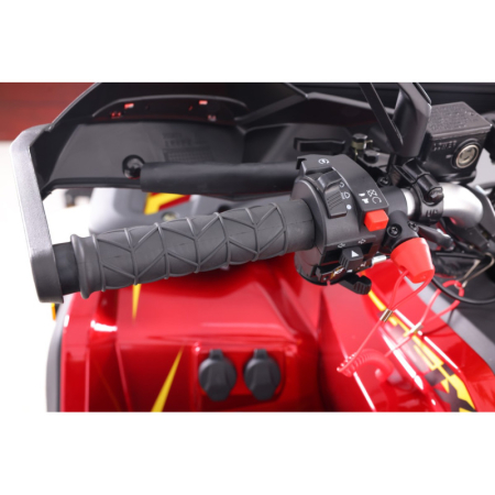 ATV Asix Tytan 200cc, roti 10 inch aluminiu, 1+1 viteze, culoare gri/negru [11]