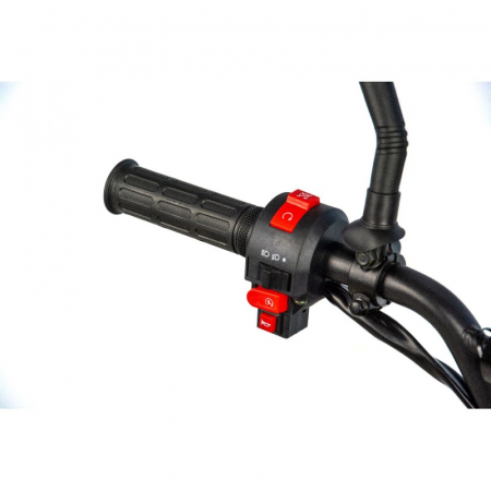 Atv copii XTR 001 big foot, roti 7 inch, 125cc, 4 timpi, 1+1, culoare negru/albastru [8]