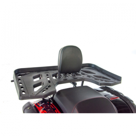 ATV XTR 012/10 PRO HUMMER, roti 10 inch, 250cc, 1+1 viteze, culoare negru/verde [12]