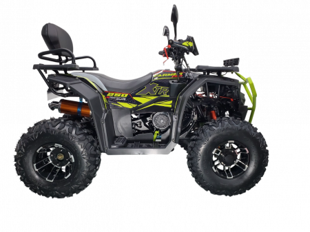 ATV XTR Pro Farmer X1 019, roti 10 inch, 250cc, 1+1 viteze, jante de aluminu, culoare negru/verde [1]