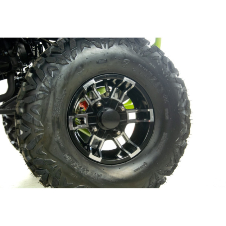 ATV XTR Pro Farmer X1 019, roti 10 inch, 250cc, 1+1 viteze, jante de aluminu, culoare negru/verde [16]