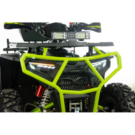 ATV XTR Pro Farmer X1 019, roti 10 inch, 250cc, 1+1 viteze, jante de aluminu, culoare negru/verde [12]
