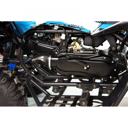 ATV XTR Pro Raptor 015, roti 10 inch, 250cc, 4+1 viteze, culoare negru/albastru [3]