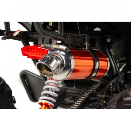 ATV XTR Pro Raptor 015, roti 10 inch, 250cc, 4+1 viteze, culoare negru/albastru [6]