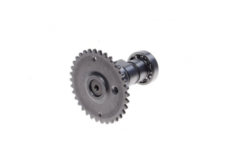 Ax came GY6-50cc [1]