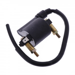 Bobina inductie - Bobina de inductie standard WAI