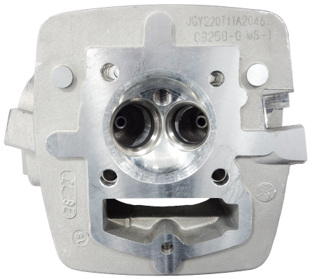 Chiuloasa Barton NXT250, an 2021 [1]