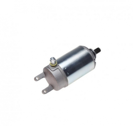 Electromotor Kawasaki Zx 900 Ninja, 10 dinti [1]