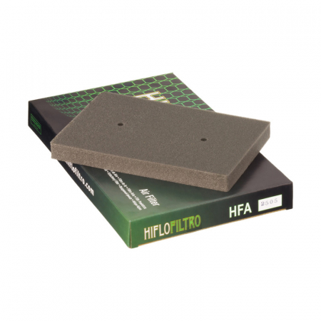 Filtre - Filtru Aer HFA2505 Hiflofiltro Kawasaki 11013-0020