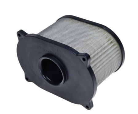 Filtre - Filtru aer Suzuki SV650(S), 13780-20F00
