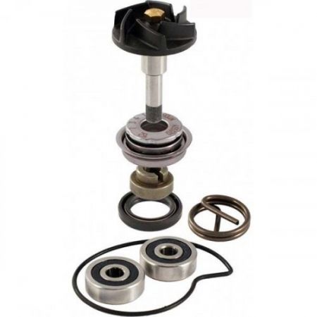 Kit pompa apa - Kit pompa apa Piaggio Beverly 250 06-07
