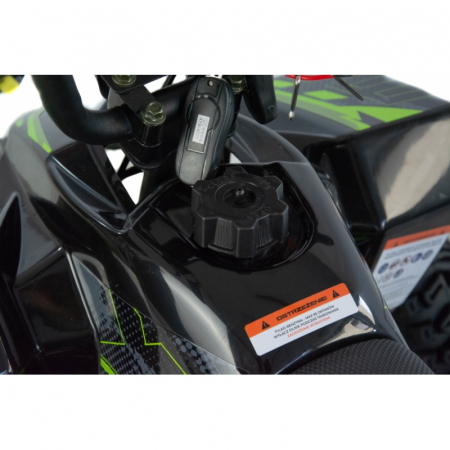 Mini atv XTR M8, roti 6 inch, 50cc, 2 timpi, pornire la sfoara, culoare negru/verde [11]