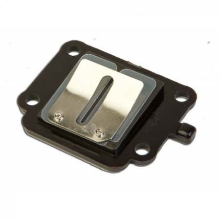 Motor - Muzicuta Minarelli vertical lamele carbon