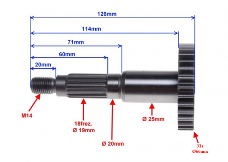 Pinion roata scutere 2t, 31z [1]
