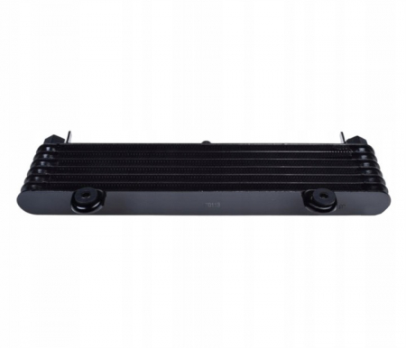 Radiator racire Yamaha Xj900S 95-03 [1]