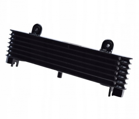 Motor - Radiator racire Yamaha Xj900S 95-03