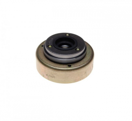 Set aprindere - Rotor si bendix, atv, 110cc