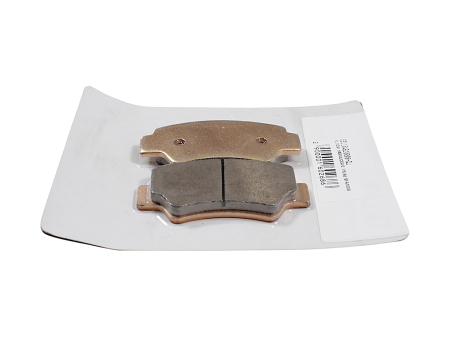 Set 2 placute frana spate QJ Motor SFA1000 OEM [1]