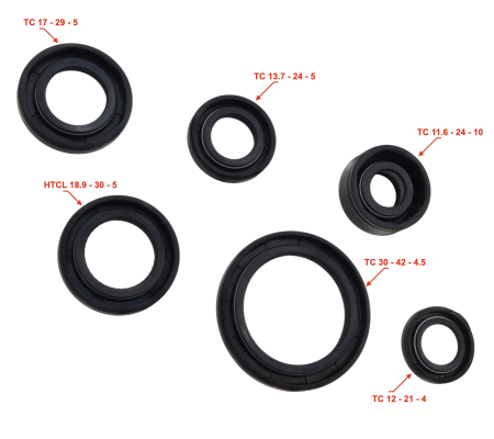 Set semeringuri motor ATV 110 [1]