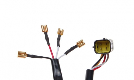Stator aprindere Atv 2 bobine [3]