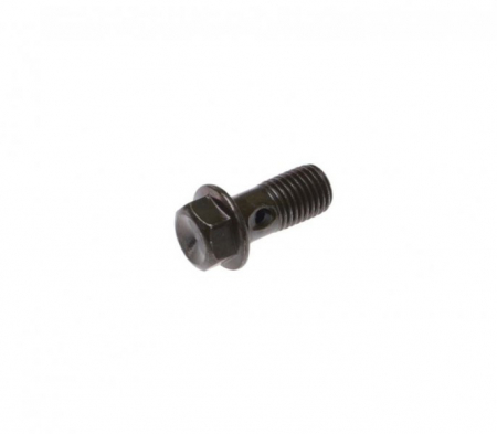 Suspensie Cadru - Surub prindere furtun frana hidraulica M10 x 1.25, moto/atv