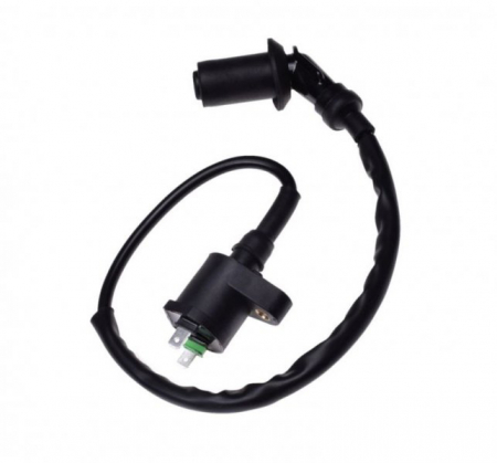 Aprindere - Bobina inductie 4T Jonway Sunny