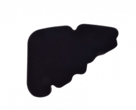 Filtre aer - Burete filtru aer Piaggio Liberty 50-125