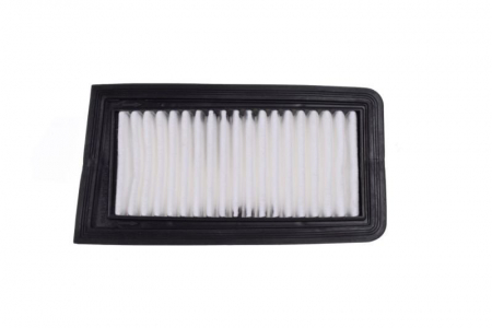 Filtre aer - Filtru aer Suzuki Burgman 650