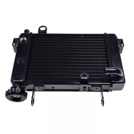 Motor - Radiator racire Honda CBR125