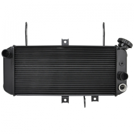 Motor - Radiator racire Suzuki Sv650