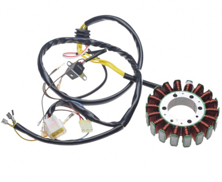 Aprindere - Stator Polaris Scrambler 500 04-13
