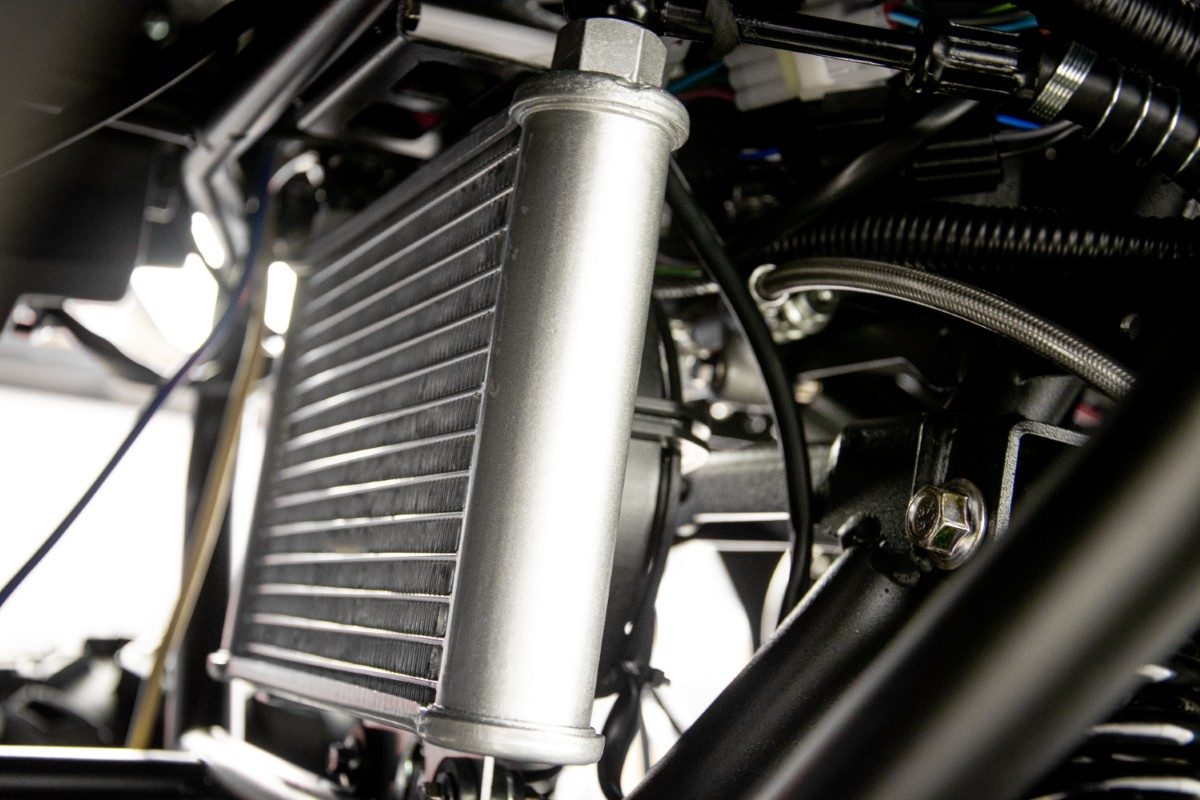 ATV Asix Cyber T3B 250cc, roti 10 inch, jante din aluminiu, 1+1 viteze, cu servodirectie, culoare verde [7]