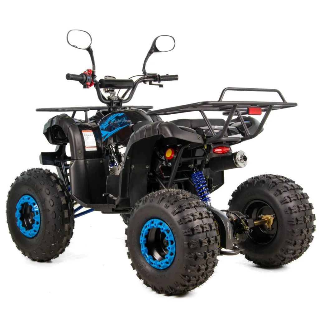 Atv copii XTR 006 Phyton, roti 8 inch, 110cc, 4 timpi, 1+1, pornire electrica, culoare negru/albastru [4]