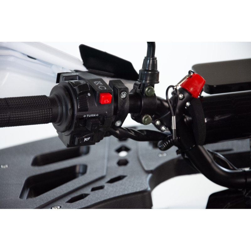ATV XTR Pro FireShot 002, roti 8 inch, 125cc, 3+1 viteze, culoare negru/albastru [13]