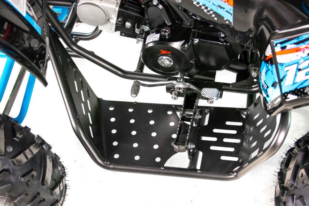 ATV XTR Varia Pro Bombardier 008/8, roti 8 inch, 125 cc, 1+1 viteze, culoare negru/albastru [6]