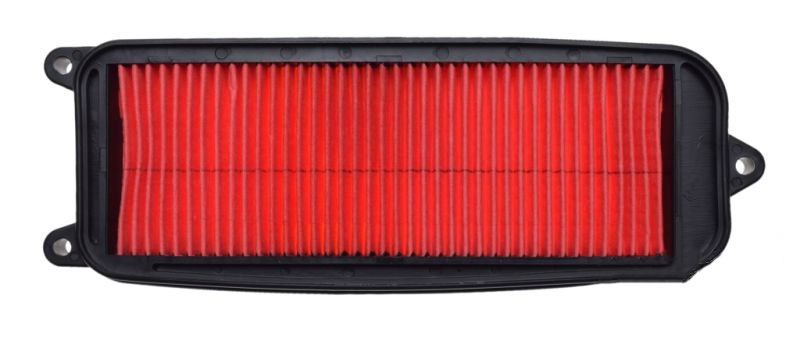 Element filtru aer Hyosung Gv 125-250cc [2]
