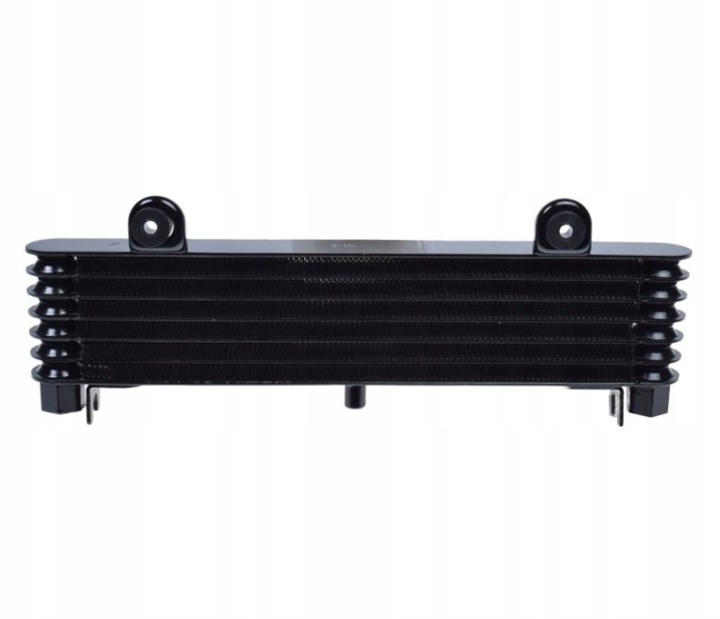 Radiator racire Yamaha Xj900S 95-03 [2]