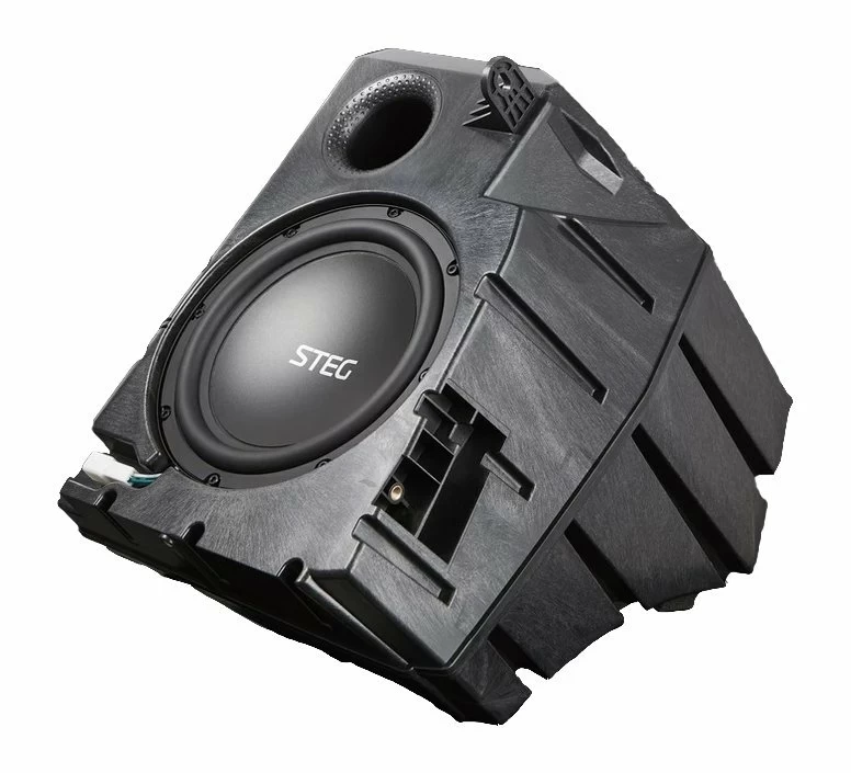 Subwoofer auto Steg MT9 dedicat Tesla 250 W RMS [6]