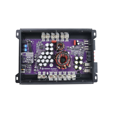 Amplificator auto Reiss Audio RS-W1000.1D,1000W [4]